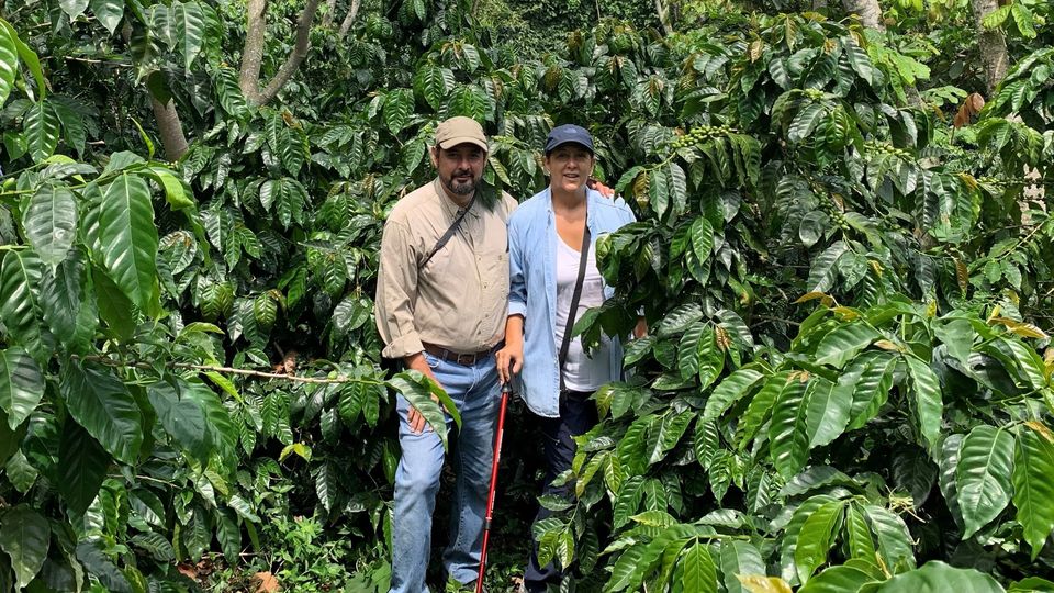 Национальные победители СОЕ Сальвадор 2020