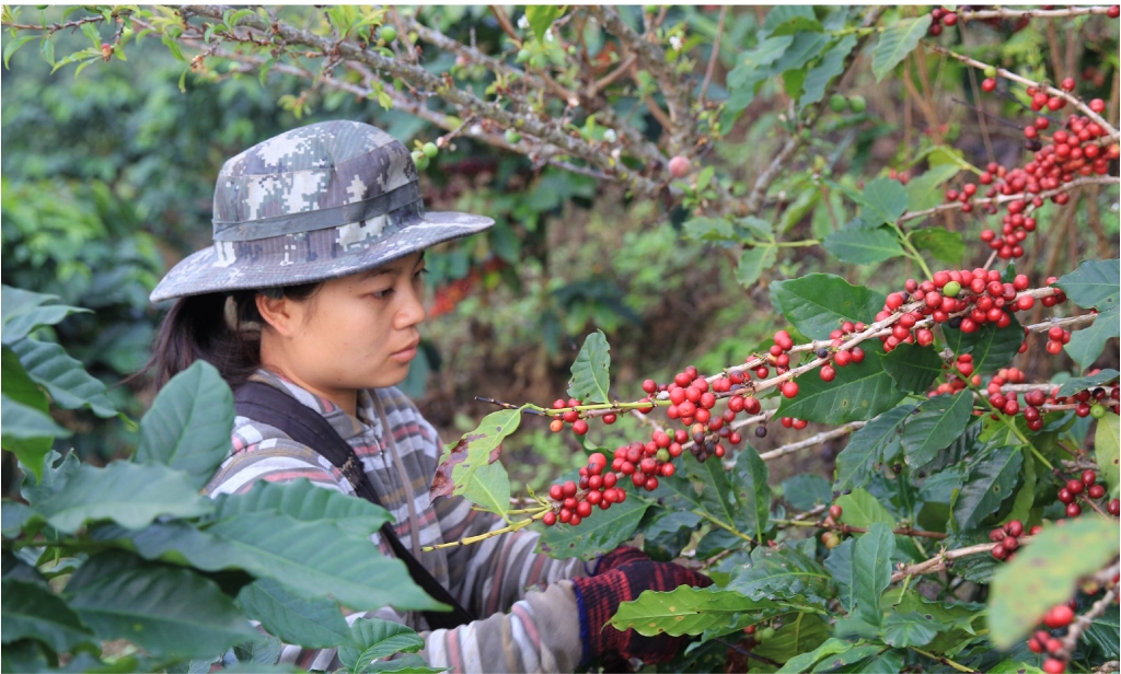 Таиланд открыт!